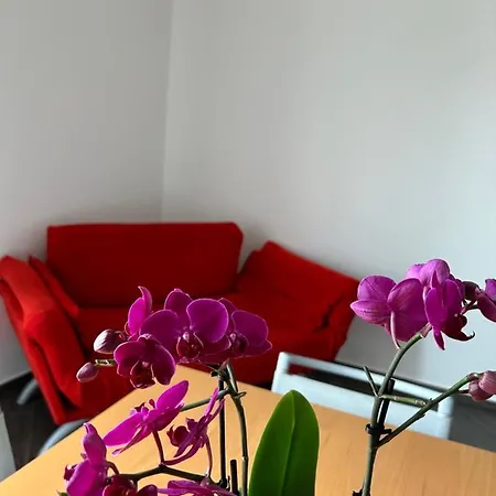 Apartment A Due Passi Da Corato