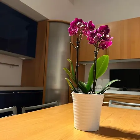 A Due Passi Da Corato